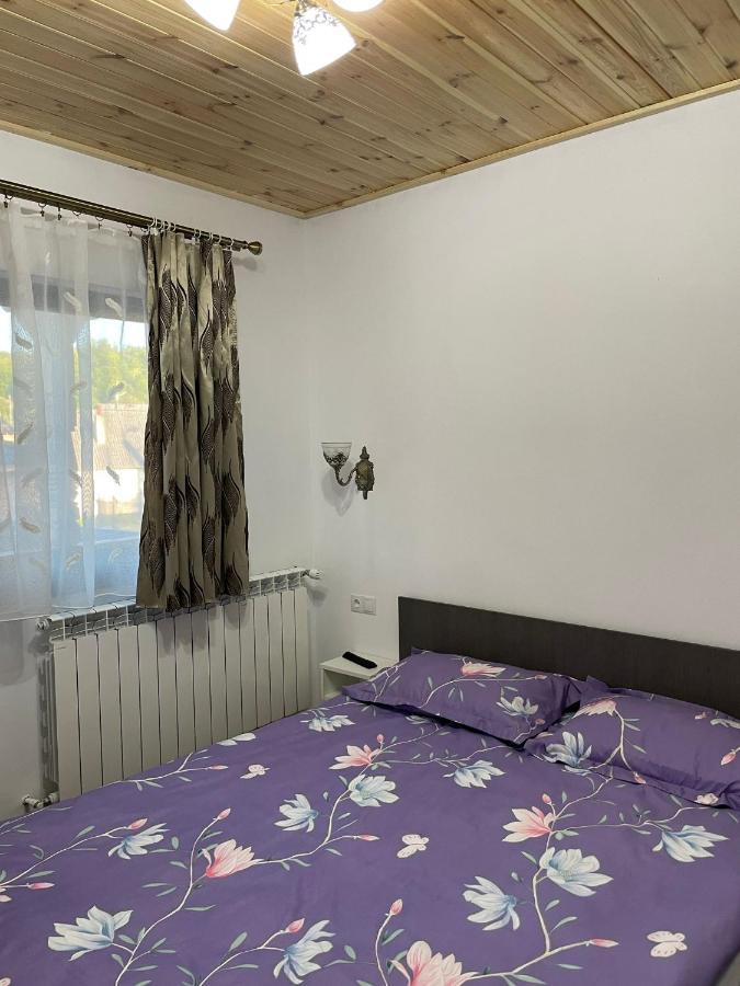 Casa De Langa Padure Hotel Sighetu Marmatiei Bagian luar foto