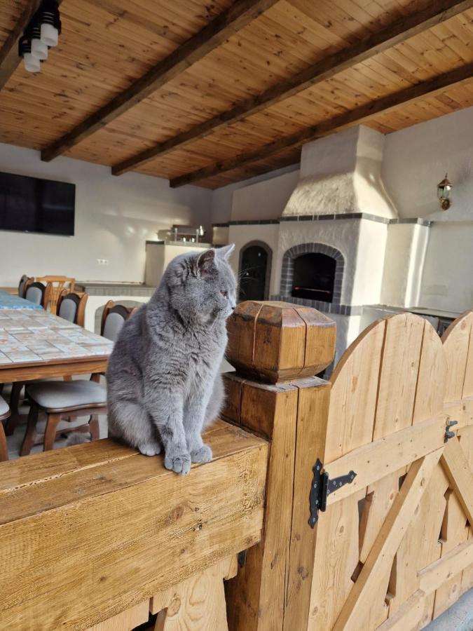 Casa De Langa Padure Hotel Sighetu Marmatiei Bagian luar foto